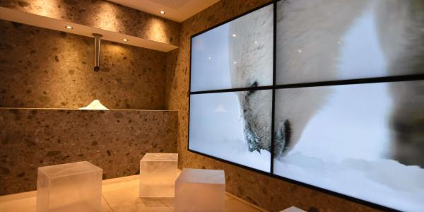 Eis-Lounge