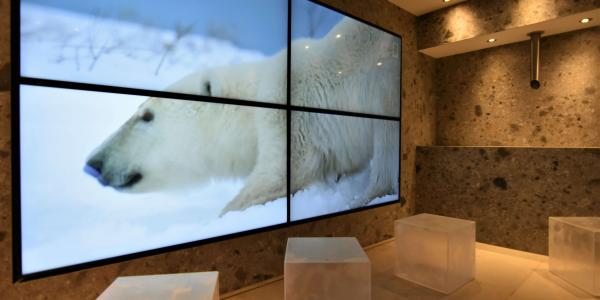Eis-Lounge