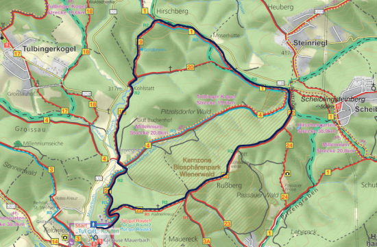tut gut - Route 2