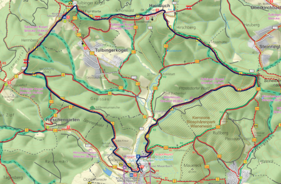 tut gut - Route 3